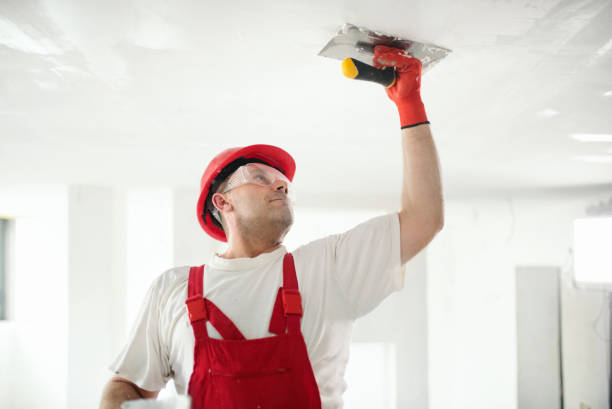 Best Fire-Damaged Drywall Repair  in Oakdale, LA